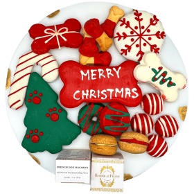 Christmas Themed Dog Treats Gift Box Christmas Themed Dog Treats Gift Box